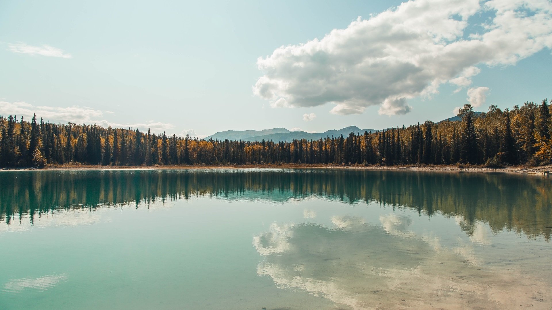 开云体育官网下载安装-“腰旗美式橄榄球：东部新区赛场成全民热议的运动话题”