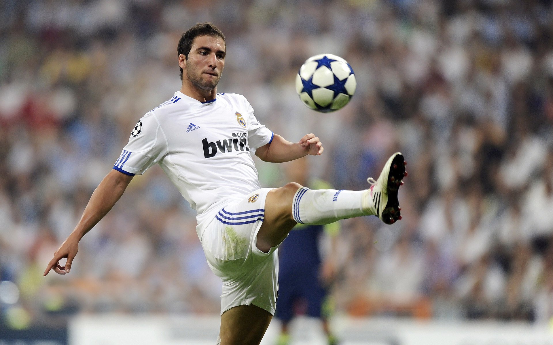 “快攻制胜！新都福乐球赛选手展现非凡技艺”