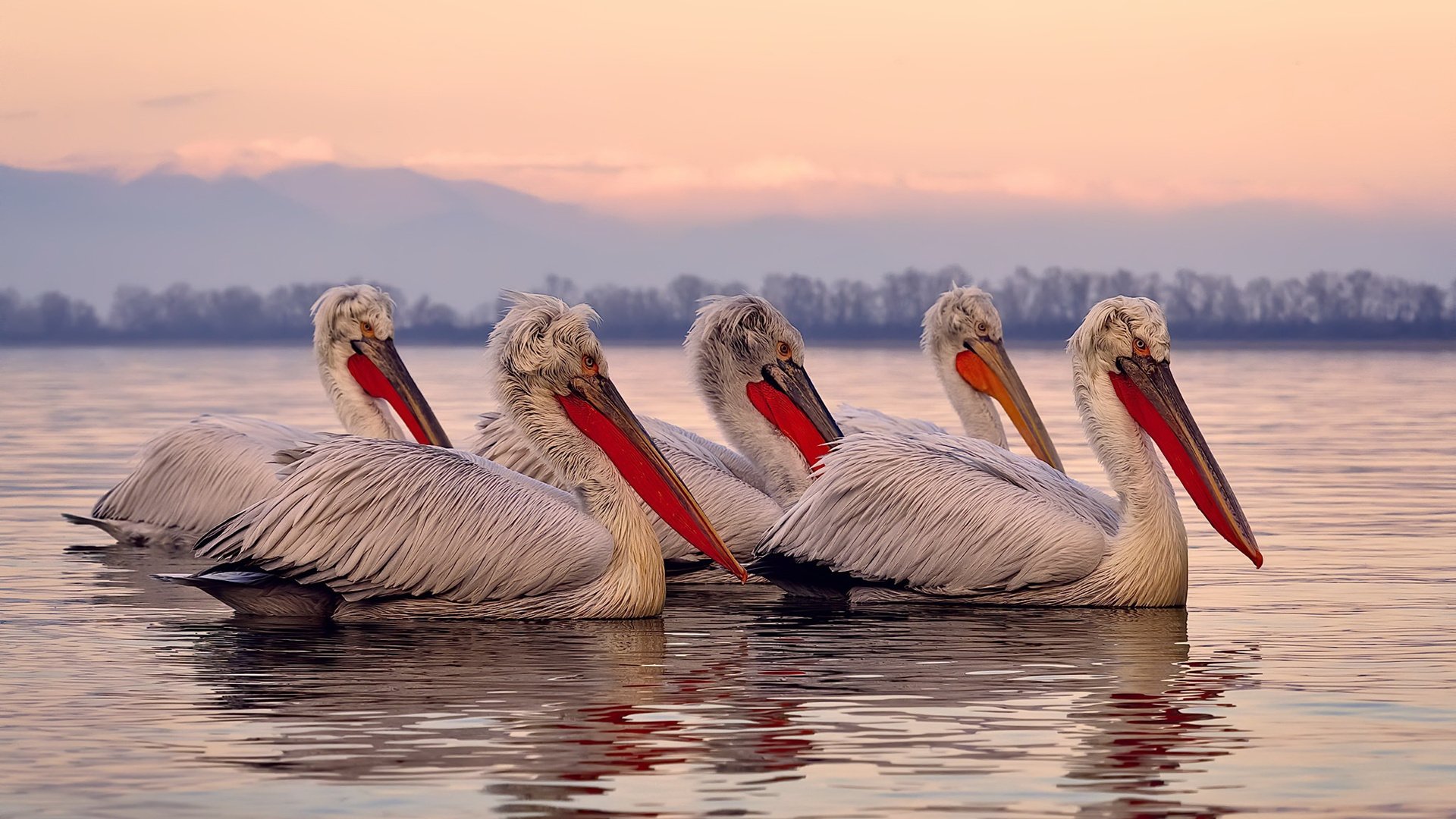 开云体育官方网入口-“拳脚出击，自由搏击赛场硝烟四起！”