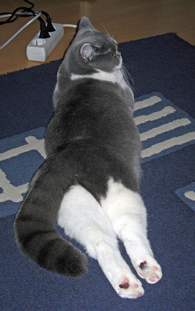 开云中国大陆-中国男篮年轻球员表现突出 未来发展潜力巨大，中国年轻男篮球运动员