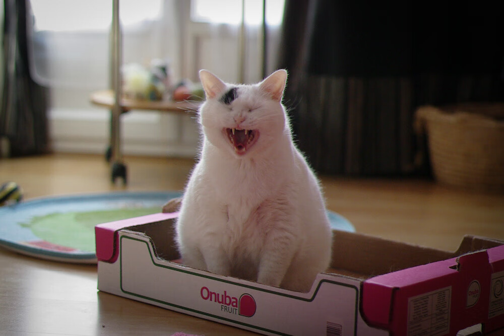 亚特兰大压制式推进主导场面走势,亚特兰大事件是什么