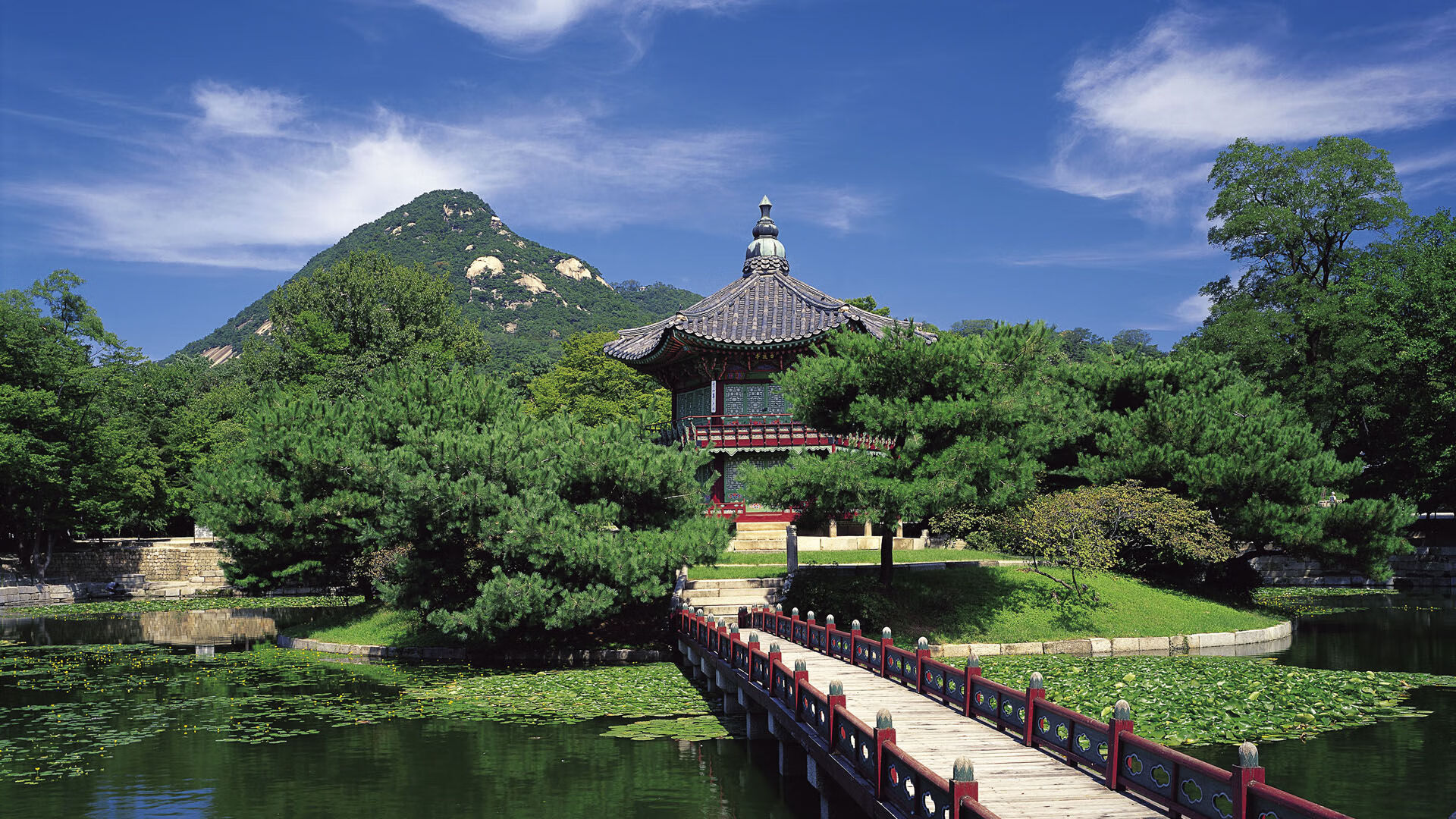 开云官网APP下载-罗马尼亚队赛制策略：如何在团体赛事中充分发挥每位球员的优势