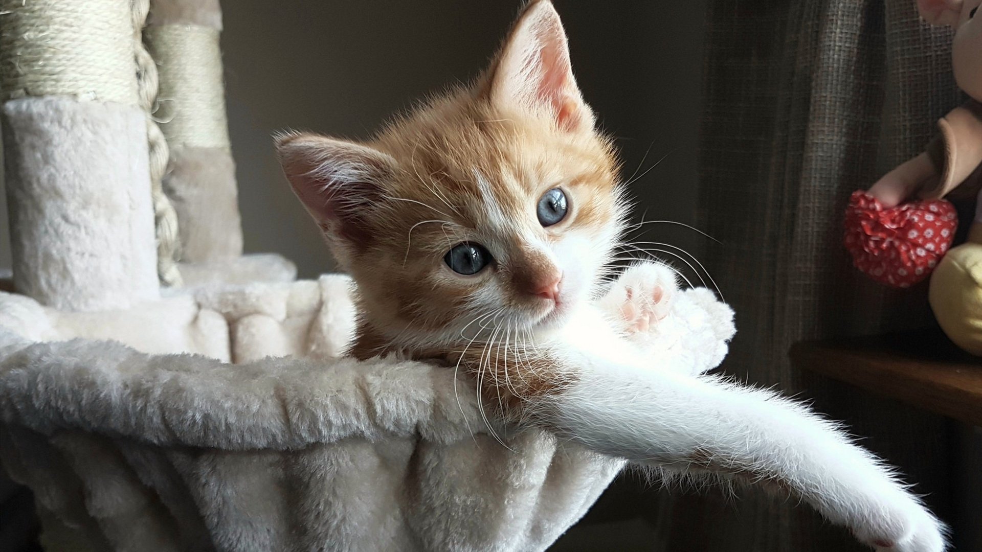 罗马尼亚队赛制策略：如何在团体赛事中充分发挥每位球员的优势