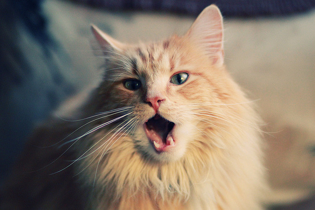 花样滑冰运动服采用高科技环保材料，花样滑冰服装设计