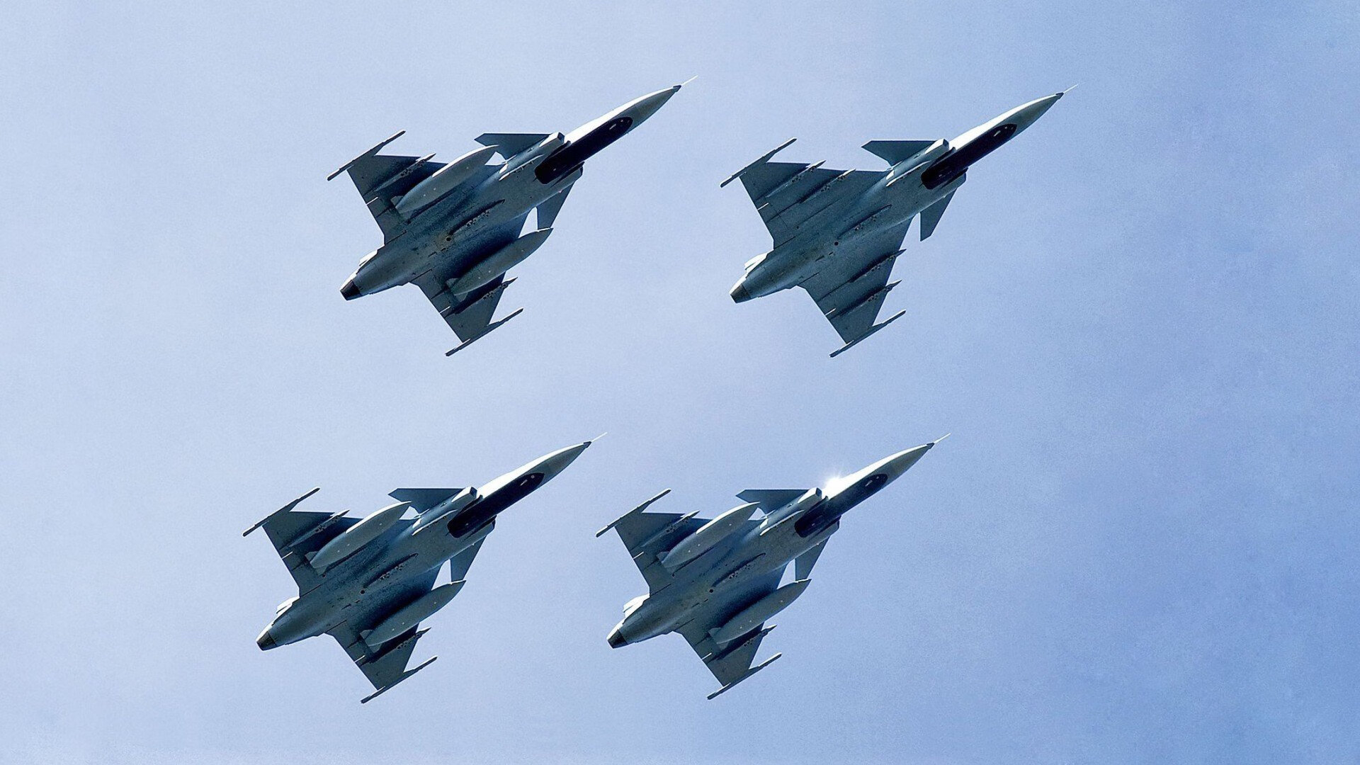 辽宁飞豹冲击三连冠卫冕路挑战重重，辽宁飞豹队标