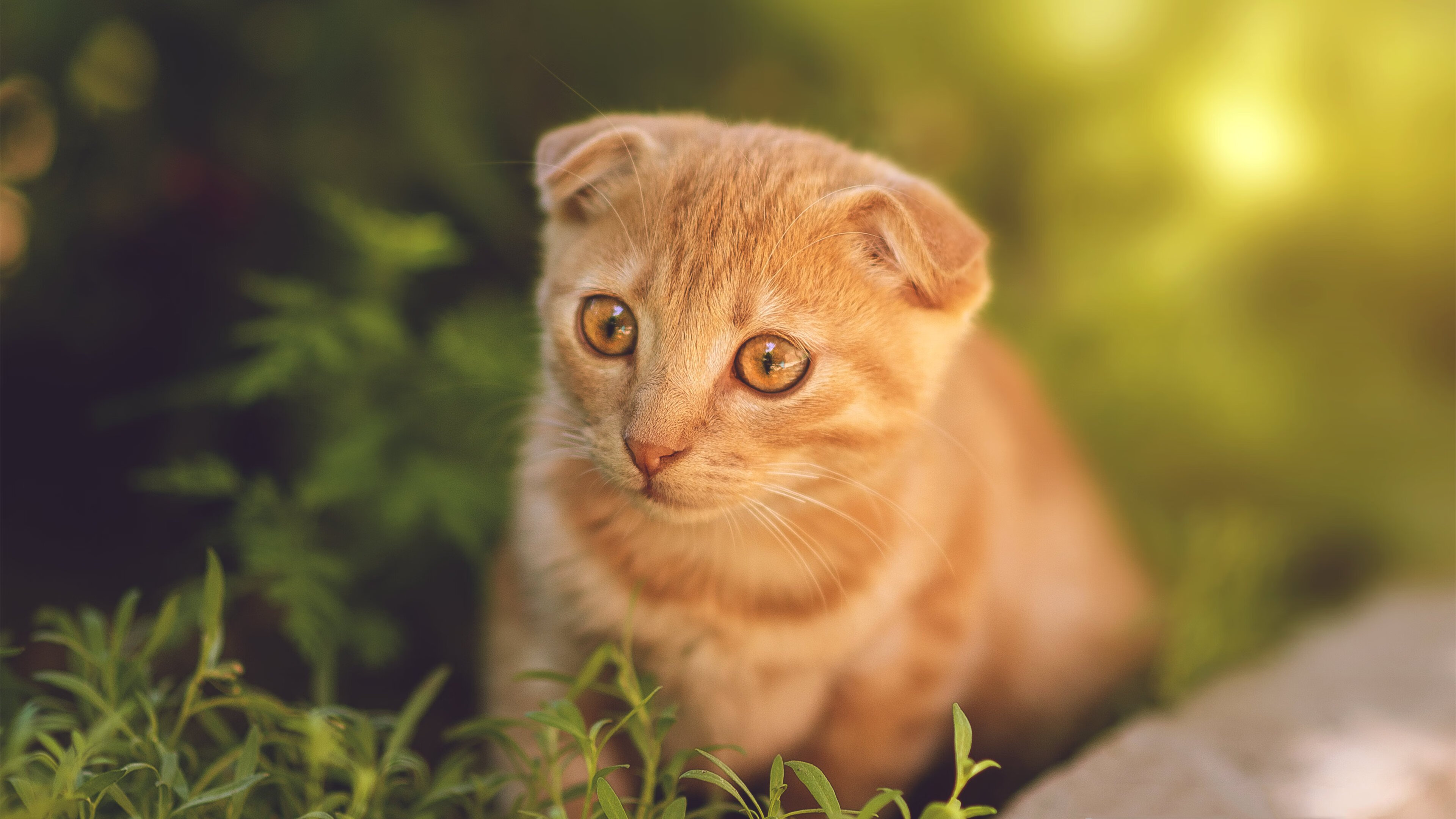 选手赛后复盘流程曝光战术反思极其细致,赛后复盘是什么