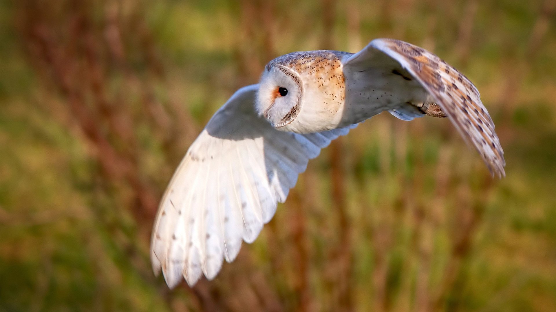 选手赛后复盘流程曝光战术反思极其细致,赛后复盘是什么