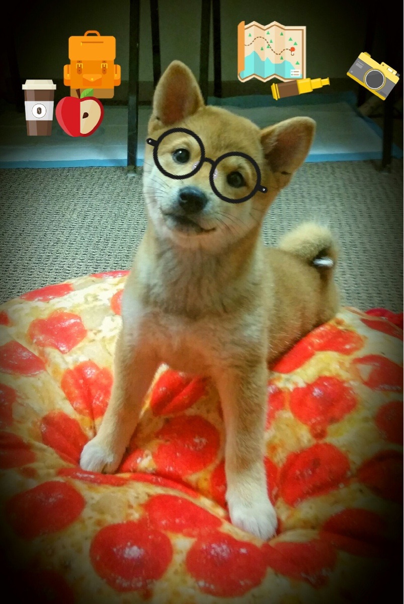 选手赛后复盘流程曝光战术反思极其细致,赛后复盘是什么