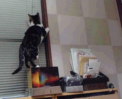 中国足球青训体系人才选拔机制科学化，中国足球青训补偿及培训费