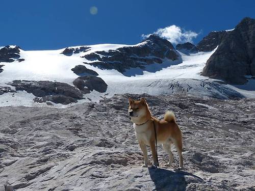 中甲联赛调整转播时段满足球迷收视习惯变化，2021年中甲联赛转播权