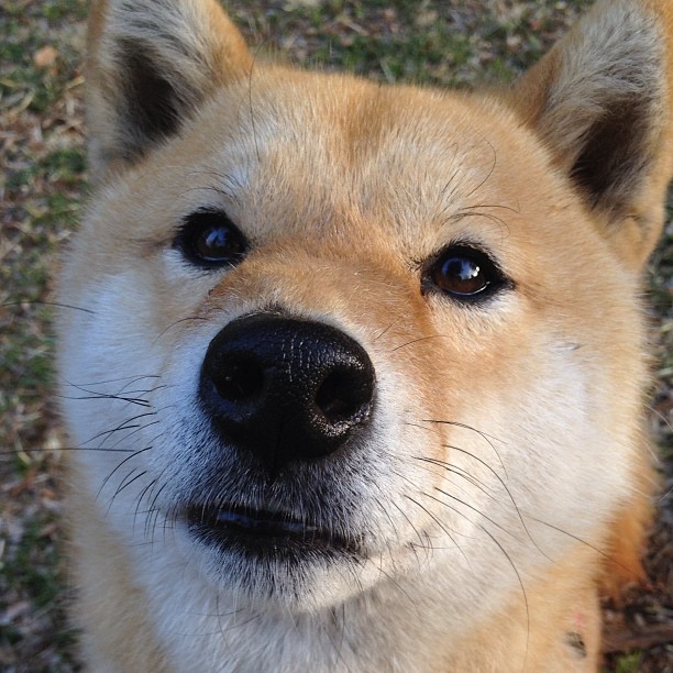 乌干达女篮在非洲锦标赛中持续突破，体育事业源源不断向前推进