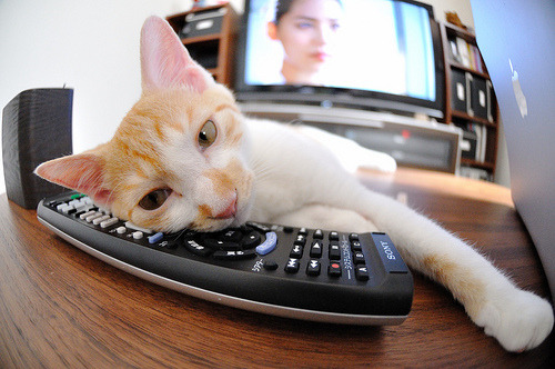 乌干达男篮在非洲预赛中拼搏不止，续写佳绩梦想，乌干达vs南非