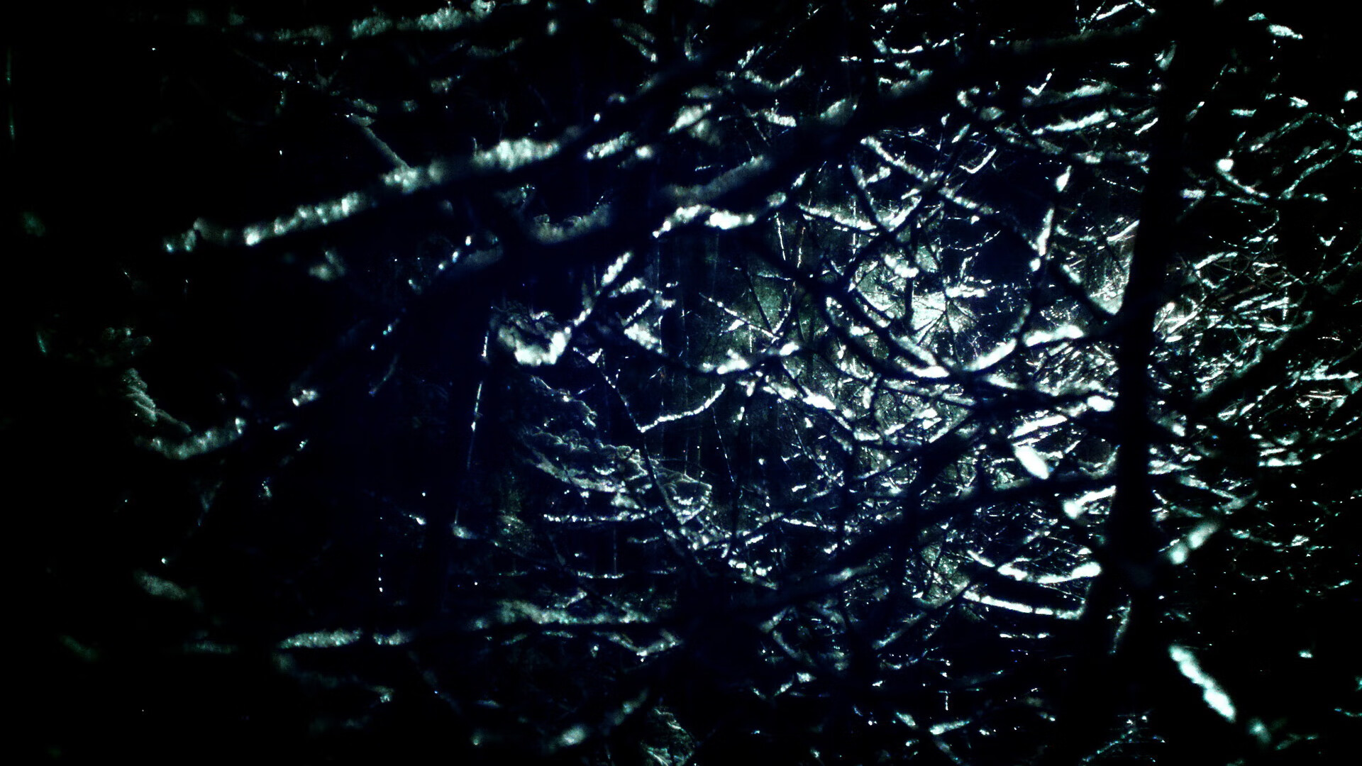 体育赛事赞助商阵容升级，体育赛事赞助商的重要性