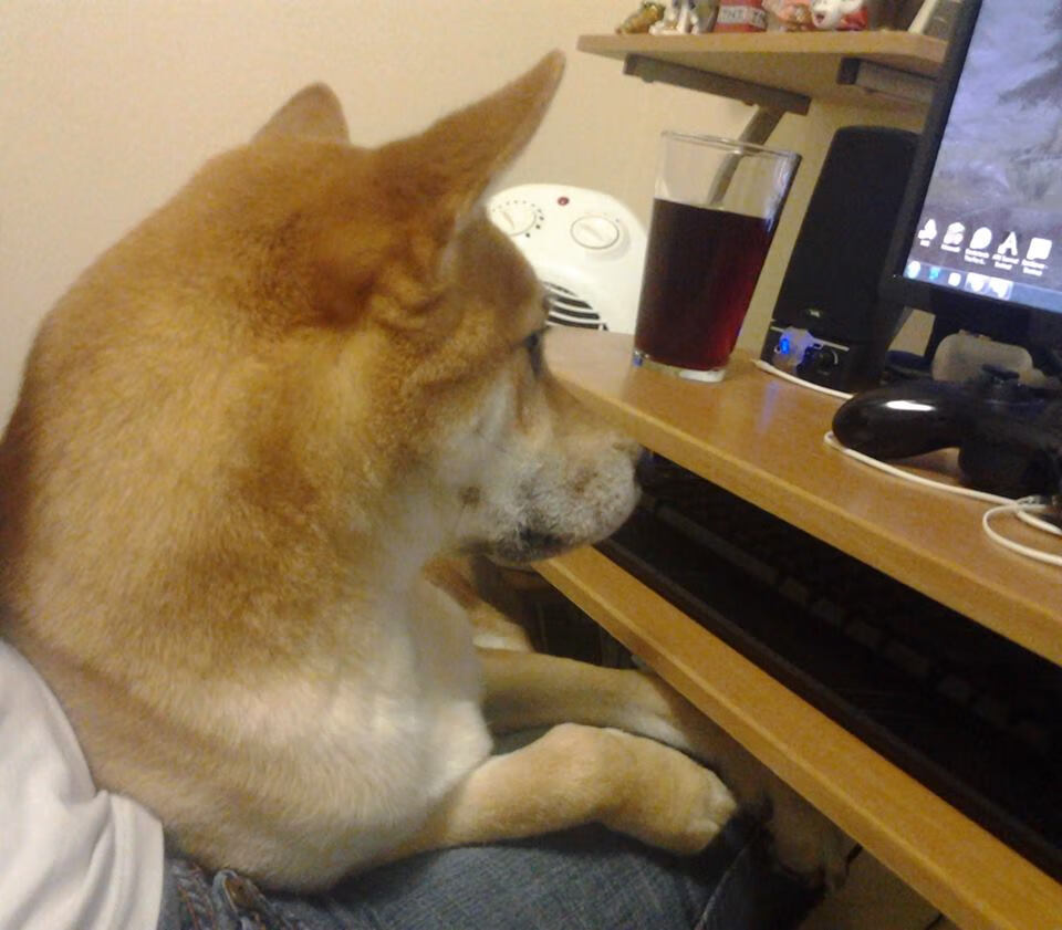 冷门赛事中涌现高光表现，冷门比赛